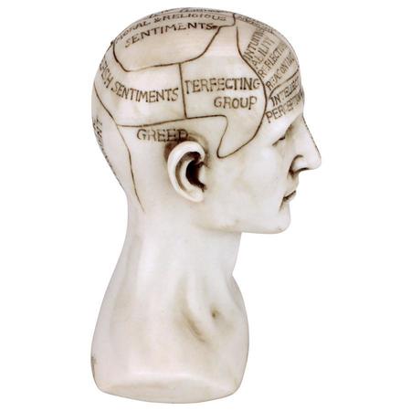 Design Toscano Phrenology the Science of the Brain Victorian Replica Statue PD4068